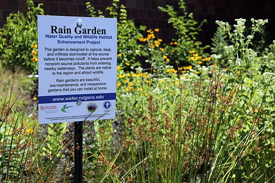 Sign of Rain Garden